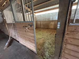 View of horse barn