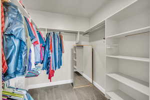 Spacious closet featuring carpet flooring