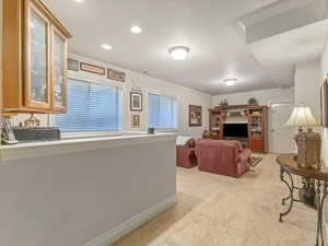 Basement Family Room