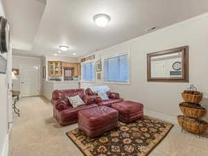 Basement Family Room