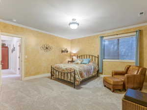 Fifth Bedroom in the Basement