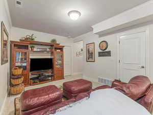 Basement Family Room