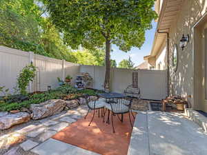 Back Patio