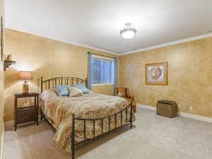 Fifth Bedroom in the Basement