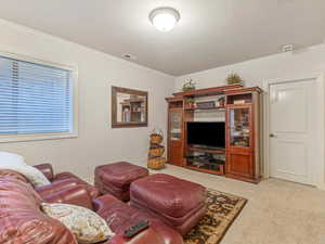 Basement Family Room