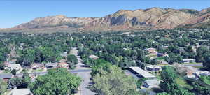 North view with mountain background