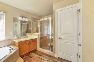 Bathroom featuring vanity, a stall shower, a garden tub, and plenty of natural light