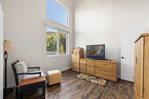 Living area featuring dark wood-style floors and a high ceiling