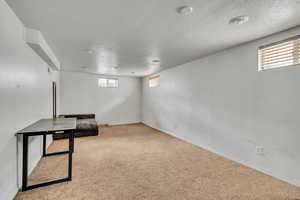 Basement featuring carpet floors, plenty of natural light, and a textured ceiling