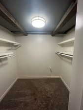 Spacious closet featuring dark colored carpet