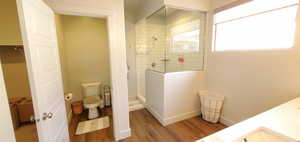 Bathroom featuring wood finished floors, walk in shower, and double vanity