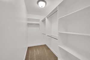 Walk in closet with carpet flooring