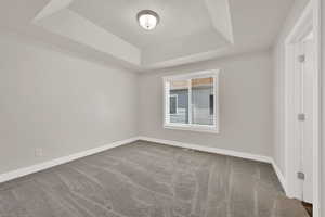 Carpeted spare room with a raised ceiling and a textured ceiling