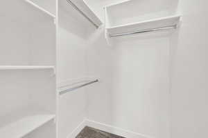 Spacious closet with carpet