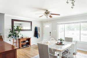 Dining room featuring light hardwood floors, a ceiling fan, and ornamental molding