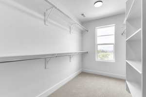 Walk in closet with light carpet