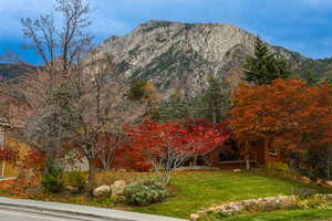 View of mountain background