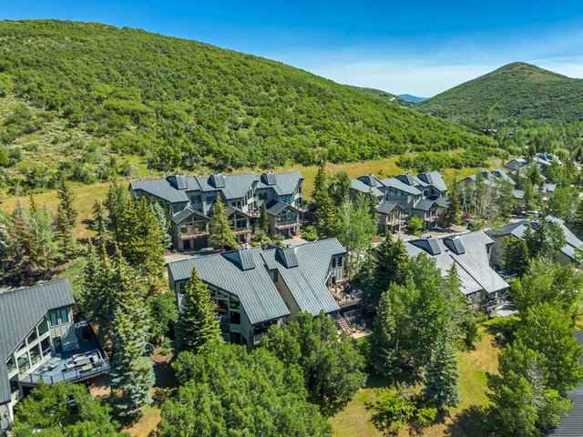 Aerial view of residential area with a forest and a mountain backdrop