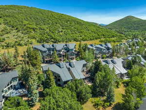 Aerial view of residential area with a forest and a mountain backdrop