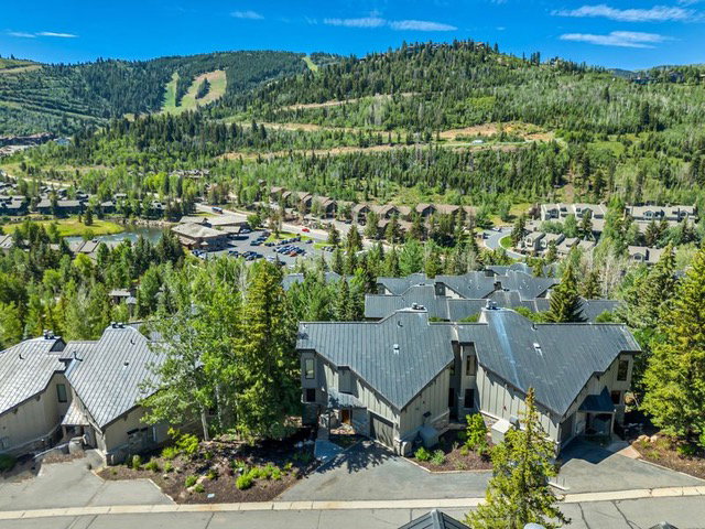 Aerial perspective of suburban area featuring a heavily wooded area and mountains