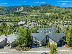 Aerial perspective of suburban area featuring a heavily wooded area and mountains