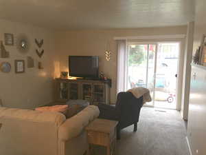 Living room featuring carpet flooring
