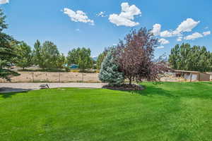 View of yard with an outdoor structure
