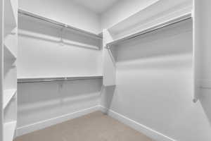Spacious closet featuring light carpet