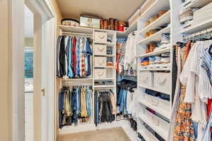 Spacious closet featuring carpet flooring