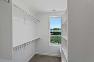 Walk in closet with carpet floors
