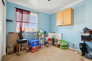 Recreation room featuring carpet and crown molding