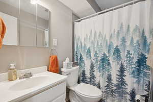 Full bath featuring vanity and a shower with shower curtain