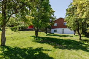 View of grassy yard
