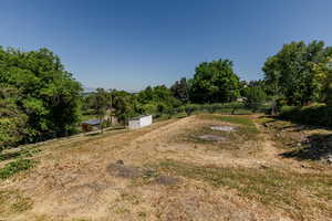 View of yard with a view of rural / pastoral area