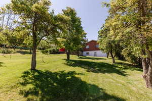 View of grassy yard