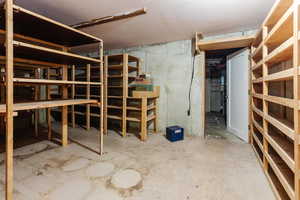 View of unfinished basement