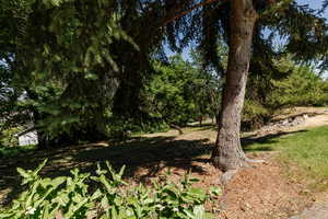 View of undeveloped land