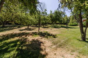 View of green lawn