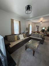 Living room featuring plenty of natural light, carpet flooring, and a textured ceiling