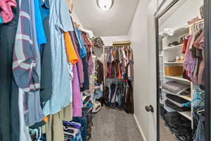 Walk in closet with carpet floors