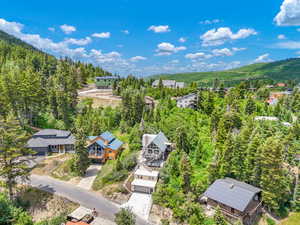 Aerial view of residential area featuring a forest