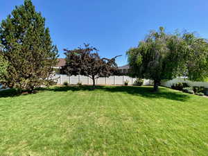 View of fenced backyard
