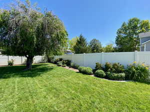 View of fenced backyard