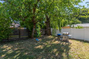 View of fenced backyard