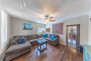 Living room featuring dark wood-type flooring, ceiling fan, and a textured ceiling