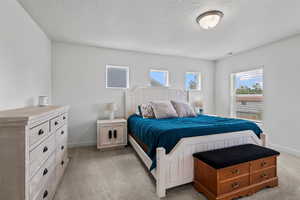 Primary bedroom featuring light colored carpet and flooded with natural light