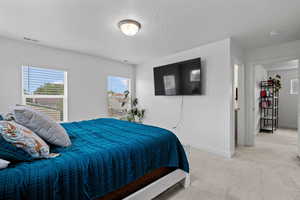 Primary bedroom featuring light colored carpet and flooded with natural light
