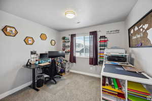 Office with a textured ceiling and carpet floors