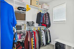 Spacious closet featuring carpet