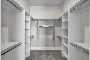 Spacious closet with dark colored carpet